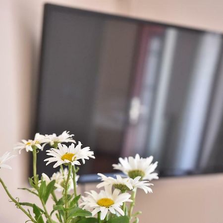 Apartment Neyra Split Dış mekan fotoğraf