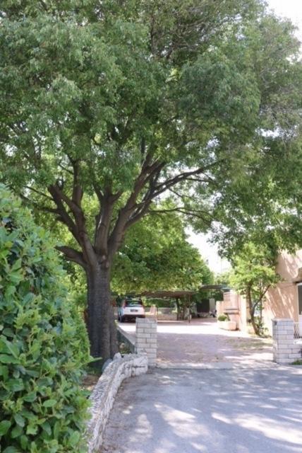 Apartment Neyra Split Dış mekan fotoğraf