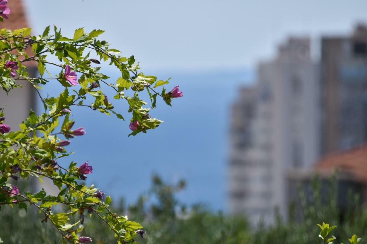 Apartment Neyra Split Dış mekan fotoğraf